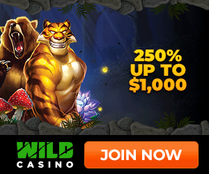 Wild Casino
